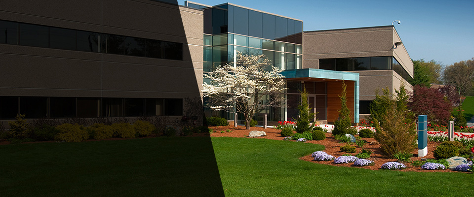 College Point Landscapers