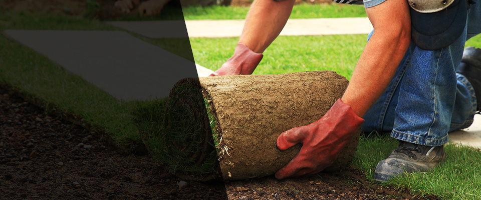 College Point Landscapers